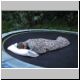 DSCN0350.jpg