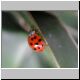 DSCN5124.jpg