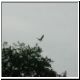 DSCN5193.jpg