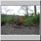 DSCN5783.jpg