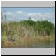DSCN6098.jpg