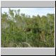 DSCN6128.jpg