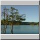 DSCN6617.jpg