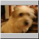 DSCN6621.jpg