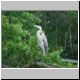 DSCN6897.jpg