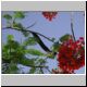DSCN7113.jpg