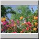 DSCN7121.jpg