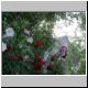 DSCN7410.jpg