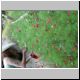 DSCN7418.jpg