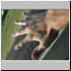 DSCN7449.jpg