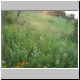 DSCN7454.jpg