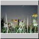 DSCN7490.jpg
