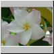DSCN7671.jpg