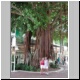 DSCN8016.jpg