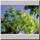 DSCN8128.jpg