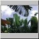 DSCN8161.jpg