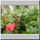 DSCN8207.jpg
