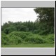 DSCN8261.jpg