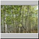 DSCN8568.jpg