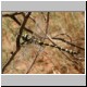 DSCN8671.jpg