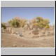 DSCN8921.jpg