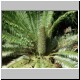 DSCN9300.jpg