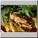 DSCN9320.jpg