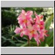 DSCN9330.jpg