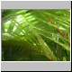 DSCN9332.jpg