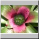 DSCN9335.jpg