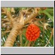 DSCN9350.jpg
