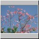DSCN9372.jpg
