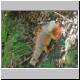 DSCN9378.jpg
