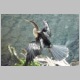 DSC07605.jpg