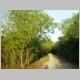 DSC08501.jpg