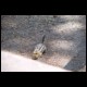 DSC00166.html