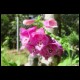 DSC09861.html
