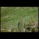 DSC00228.html