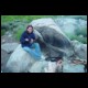 DSC00233.html