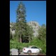 DSC00250.html
