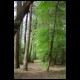 DSC00004.html