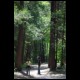 DSC00034.html