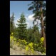 DSC00086.html