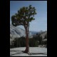 DSC00096.html