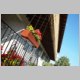 DSC07726.JPG