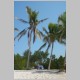 DSC04103.jpg