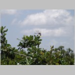 DSC03301.JPG