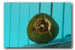 DSC04052