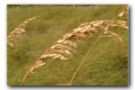 DSC04067